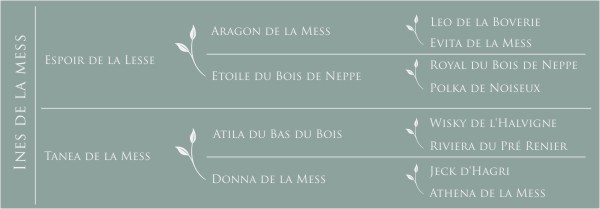 Ines de la Mess